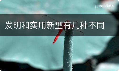 发明和实用新型有几种不同
