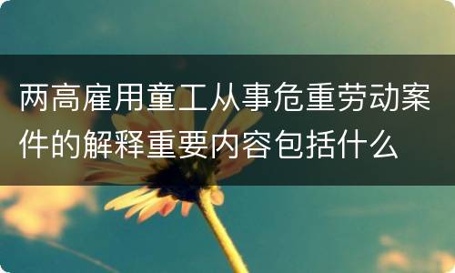 两高雇用童工从事危重劳动案件的解释重要内容包括什么