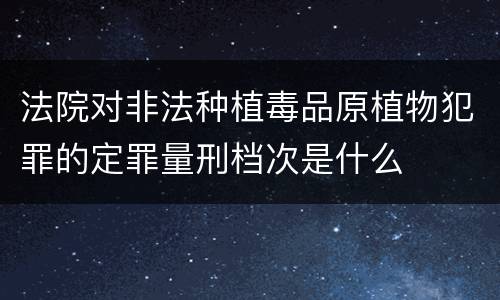法院对非法种植毒品原植物犯罪的定罪量刑档次是什么