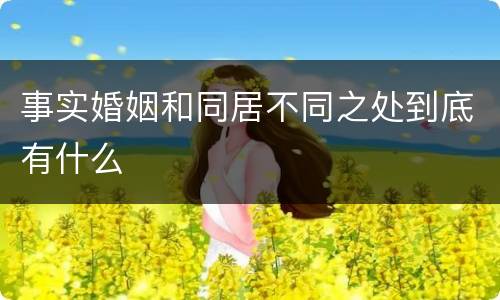 事实婚姻和同居不同之处到底有什么