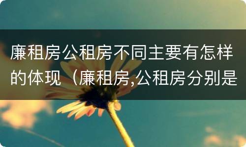 廉租房公租房不同主要有怎样的体现（廉租房,公租房分别是什么意思?）