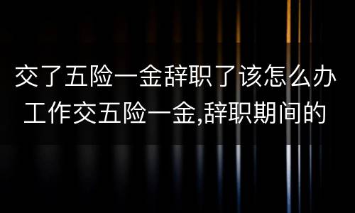 交了五险一金辞职了该怎么办 工作交五险一金,辞职期间的五险一金怎么办