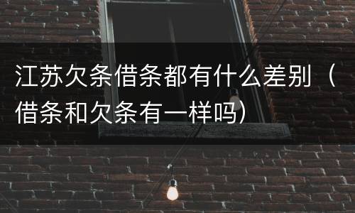 江苏欠条借条都有什么差别（借条和欠条有一样吗）