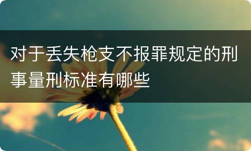 对于丢失枪支不报罪规定的刑事量刑标准有哪些