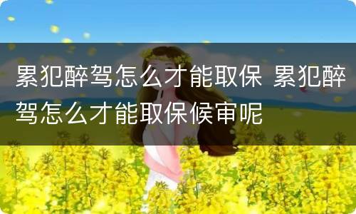 累犯醉驾怎么才能取保 累犯醉驾怎么才能取保候审呢