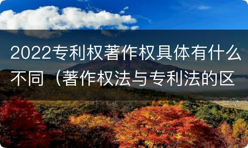 2022专利权著作权具体有什么不同（著作权法与专利法的区别）