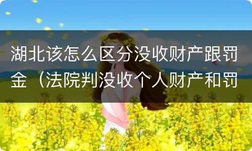 湖北该怎么区分没收财产跟罚金（法院判没收个人财产和罚金有什么区别）