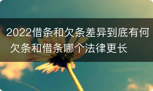 2022借条和欠条差异到底有何 欠条和借条哪个法律更长