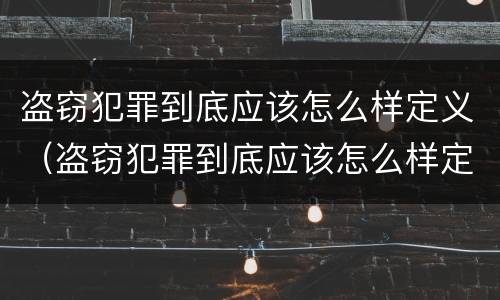 盗窃犯罪到底应该怎么样定义（盗窃犯罪到底应该怎么样定义罪名）