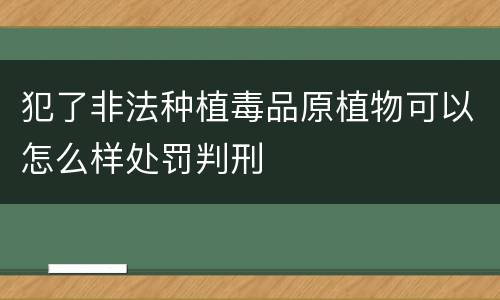 犯了非法种植毒品原植物可以怎么样处罚判刑