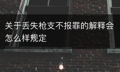 关于丢失枪支不报罪的解释会怎么样规定