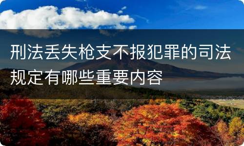刑法丢失枪支不报犯罪的司法规定有哪些重要内容