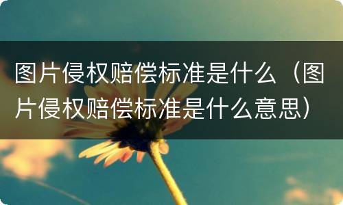 图片侵权赔偿标准是什么（图片侵权赔偿标准是什么意思）