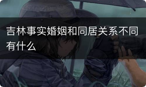 吉林事实婚姻和同居关系不同有什么