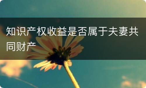 知识产权收益是否属于夫妻共同财产