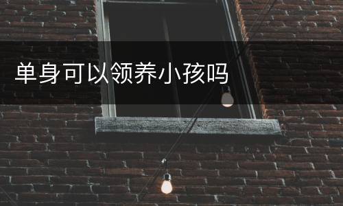 单身可以领养小孩吗