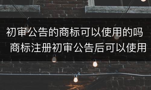 初审公告的商标可以使用的吗 商标注册初审公告后可以使用吗