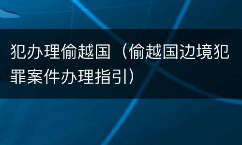 犯办理偷越国（偷越国边境犯罪案件办理指引）