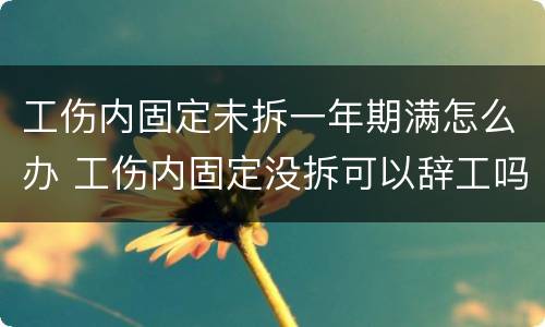 工伤内固定未拆一年期满怎么办 工伤内固定没拆可以辞工吗