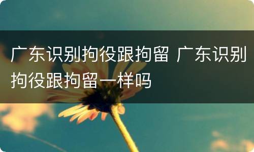 广东识别拘役跟拘留 广东识别拘役跟拘留一样吗