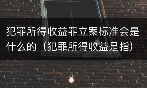 犯罪所得收益罪立案标准会是什么的（犯罪所得收益是指）