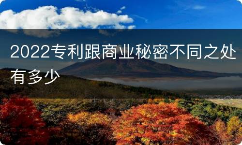 2022专利跟商业秘密不同之处有多少