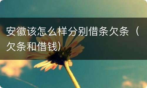 安徽该怎么样分别借条欠条（欠条和借钱）