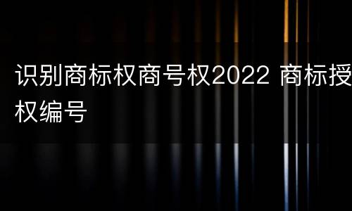 识别商标权商号权2022 商标授权编号