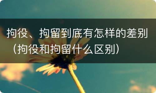 拘役、拘留到底有怎样的差别（拘役和拘留什么区别）