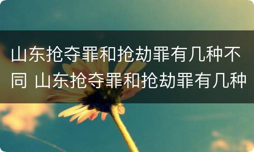 山东抢夺罪和抢劫罪有几种不同 山东抢夺罪和抢劫罪有几种不同吗