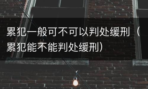 累犯一般可不可以判处缓刑（累犯能不能判处缓刑）