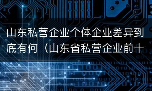 山东私营企业个体企业差异到底有何（山东省私营企业前十名）