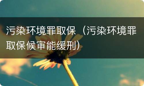 污染环境罪取保（污染环境罪取保候审能缓刑）