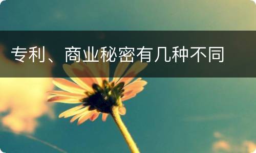 专利、商业秘密有几种不同