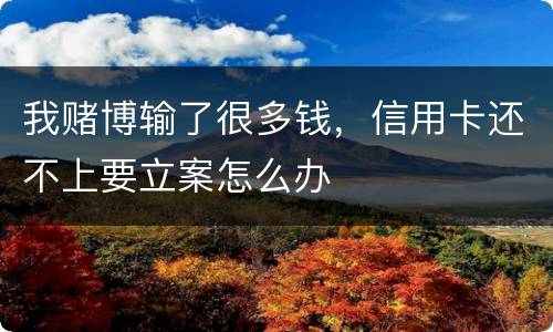 我赌博输了很多钱，信用卡还不上要立案怎么办