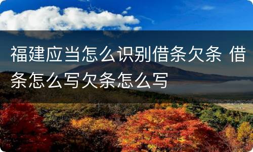 福建应当怎么识别借条欠条 借条怎么写欠条怎么写
