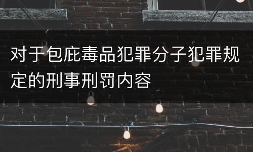 对于包庇毒品犯罪分子犯罪规定的刑事刑罚内容