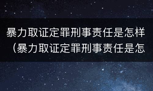 暴力取证定罪刑事责任是怎样（暴力取证定罪刑事责任是怎样定义的）