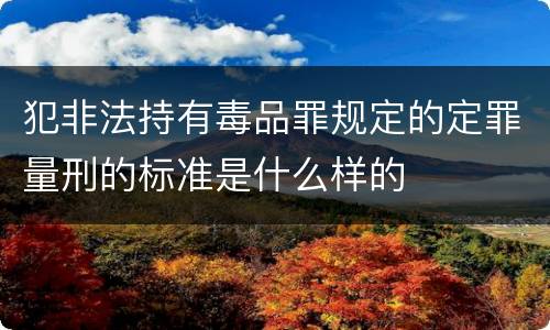 犯非法持有毒品罪规定的定罪量刑的标准是什么样的