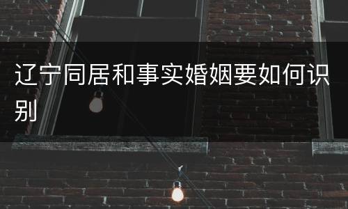 辽宁同居和事实婚姻要如何识别