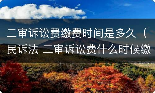 二审诉讼费缴费时间是多久（民诉法 二审诉讼费什么时候缴纳）