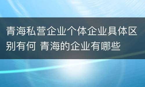 青海私营企业个体企业具体区别有何 青海的企业有哪些
