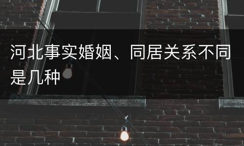 河北事实婚姻、同居关系不同是几种