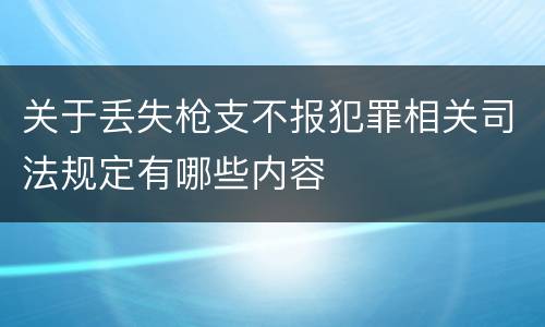 关于丢失枪支不报犯罪相关司法规定有哪些内容