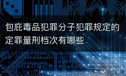 包庇毒品犯罪分子犯罪规定的定罪量刑档次有哪些