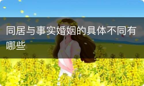 同居与事实婚姻的具体不同有哪些