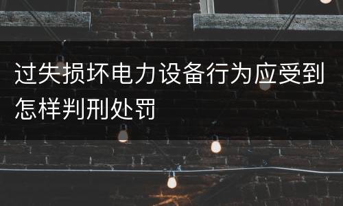 过失损坏电力设备行为应受到怎样判刑处罚