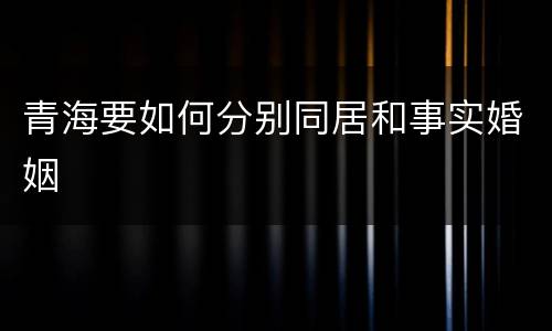 青海要如何分别同居和事实婚姻