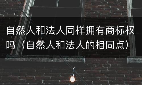 自然人和法人同样拥有商标权吗（自然人和法人的相同点）