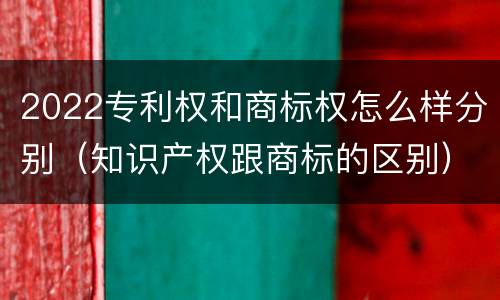 2022专利权和商标权怎么样分别（知识产权跟商标的区别）